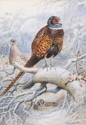 Lot 380 - Cyril David Johnston (b.1946) Pheasants in Snow