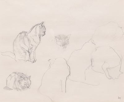 Lot 317 - Peter Greenham (1909-1992) Studies of Cats