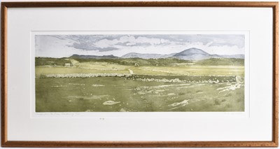 Lot 99 - Anne Aspinall (b.1949) Moelfre from the Maes, Llandanwg