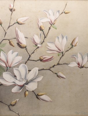 Lot 185 - Sardar Ganda Thakar Singh (Indian 1899-1976) Three Botanical Watercolours