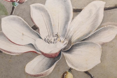 Lot 185 - Sardar Ganda Thakar Singh (Indian 1899-1976) Three Botanical Watercolours
