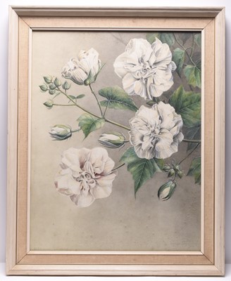 Lot 185 - Sardar Ganda Thakar Singh (Indian 1899-1976) Three Botanical Watercolours