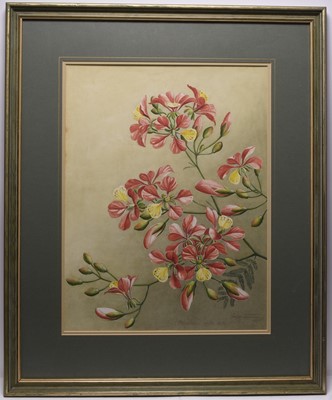 Lot 186 - Sardar Ganda Thakar Singh (Indian 1899-1976) Three Botanical Watercolours