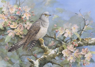 Lot 277 - Neil Cox (b.1955) A Cuckoo in a Blossom Tree