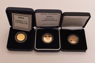 Lot 162 - Elizabeth II sovereign dated 2000 within capsule and fitted box, together with Elizabeth II Guernsey £25 - 2001
