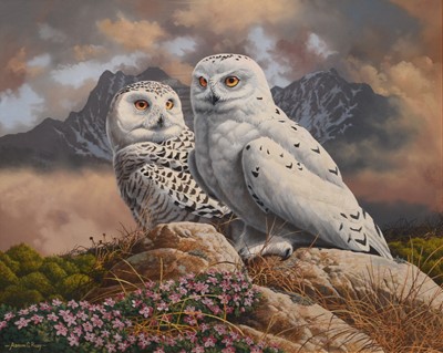 Lot 45 - Adrian Rigby (b.1962) Snowy Owls