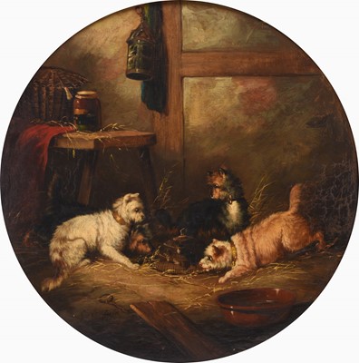 Lot 9 - George Armfield (1808-1893) A Pair of Paintings Showing Terriers in a Barn