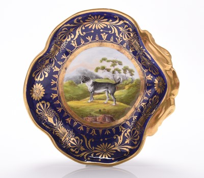 Lot 81 - Coalport 'Animal Service' dessert side dish - The 'Ban Dog', circa 1800-05