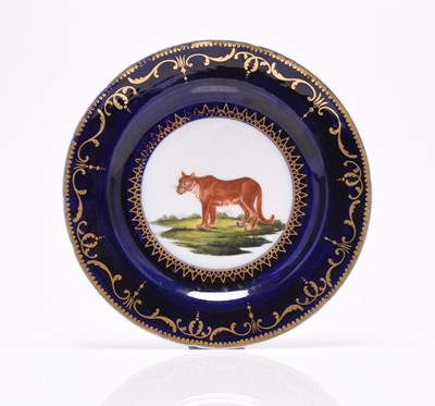 Lot 85 - John Rose Coalport 'Animal Service' dessert plate - The Cougar