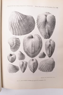 Lot 22 - SOCIETE PALEONTOLOGIQUE SUISSE, 4to, vols I-X bound in 5 (5) (box)