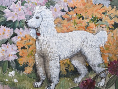 Lot 272 - Charles Frederick Tunnicliffe (1901-1979) Study of a Poodle