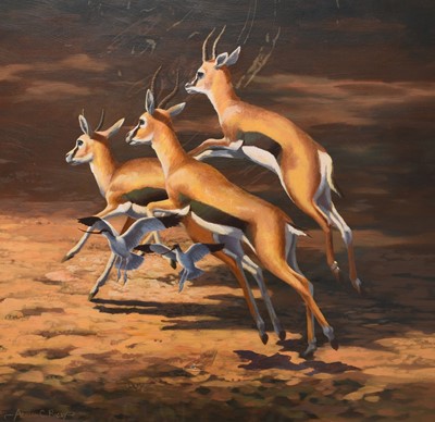 Lot 107 - Adrian Rigby (b.1962) Thompson's Gazelles