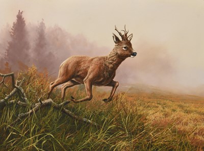 Lot 21 - Adrian Rigby (b.1962) Two Paintings of Roe Deer