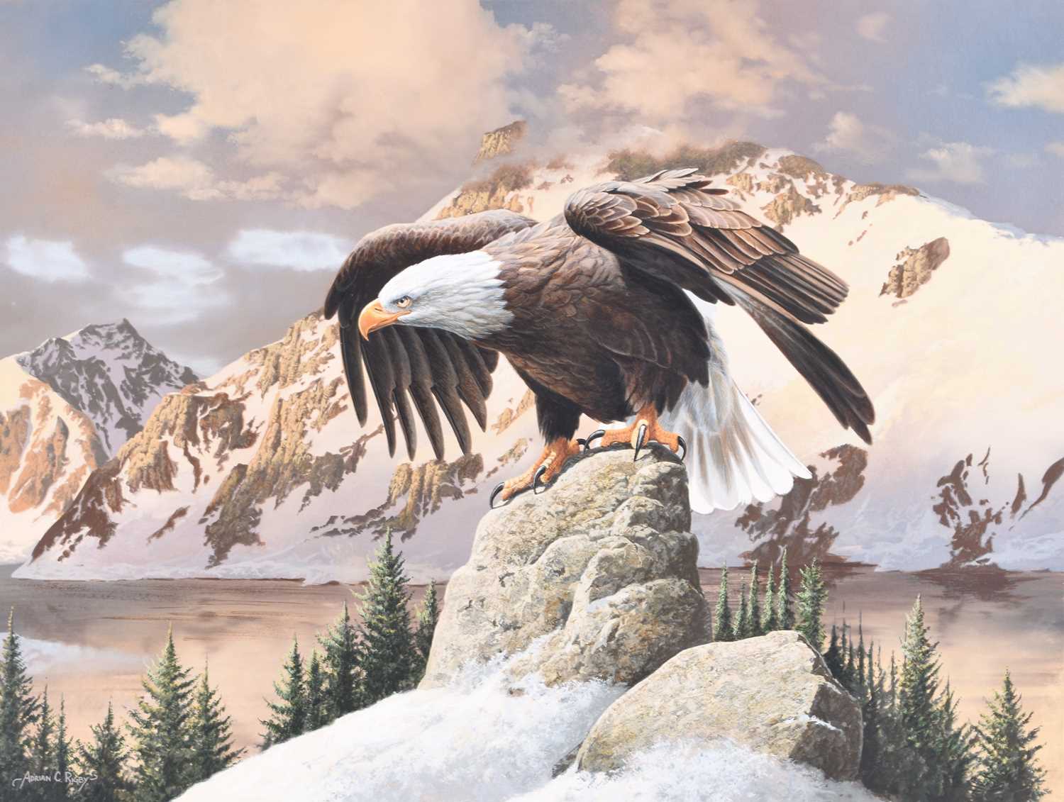 Lot 629 - Adrian Rigby (b.1962) Three Gouache Paintings of American Bald Eagles in Landscapes