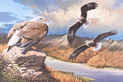 Lot 629 - Adrian Rigby (b.1962) Three Gouache Paintings of American Bald Eagles in Landscapes