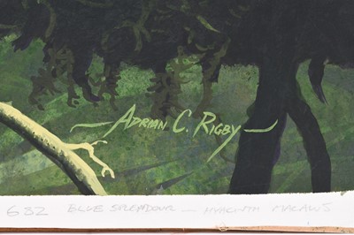 Lot 278 - Adrian Rigby (b.1962) Hyacinth Macaws