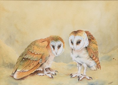 Lot 127 - Christopher Hughes (b.1955) Three Ornithological Watercolours