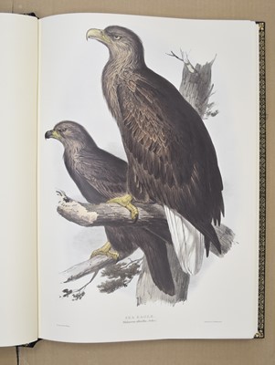 Lot 65 - ILLUSTRATIONS OF BIRDS DRAWN FOR JOHN GOULD by Edward Lear.