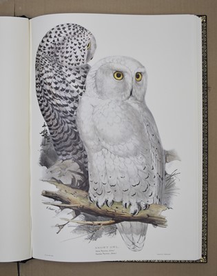 Lot 65 - ILLUSTRATIONS OF BIRDS DRAWN FOR JOHN GOULD by Edward Lear.