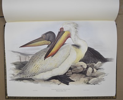 Lot 65 - ILLUSTRATIONS OF BIRDS DRAWN FOR JOHN GOULD by Edward Lear.