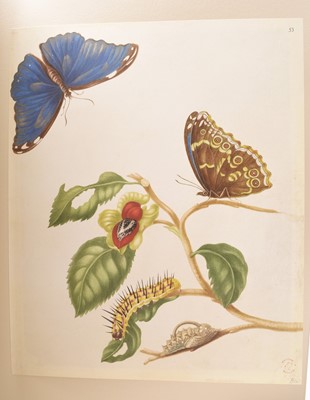 Lot 63 - MERIAN, Maria Sibylla, The Surinam Album. Large folio, Folio Society 2006.