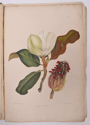 Lot 98 - ROBLEY, Augusta J, A Selection of Madeira Flowers, Drawn and Coloured From Nature. Folio 1845.