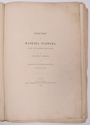 Lot 98 - ROBLEY, Augusta J, A Selection of Madeira Flowers, Drawn and Coloured From Nature. Folio 1845.