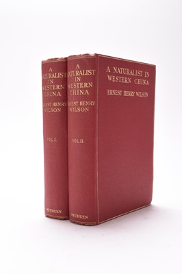 Lot 51 - WILSON, Ernest Henry, A Naturalist in Western China with vasculum, camera and gun. 2 vols, 1st edition, 1913. With 101 full page, illustrations and a map. Red cloth gilt. Nice set.