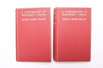 Lot 51 - WILSON, Ernest Henry, A Naturalist in Western China with vasculum, camera and gun. 2 vols, 1st edition, 1913. With 101 full page, illustrations and a map. Red cloth gilt. Nice set.