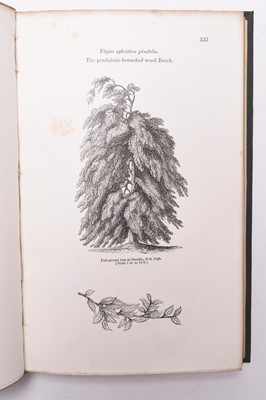 Lot 49 - FROM PRINCE ALBERT'S LIBRARY. Loudon, J C, Arboretum et Fruticetum Britannicum; or the Trees and Shrubs of Britain