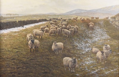 Lot 690 - John L Chapman (b.1946) Sheep on Hall Hill