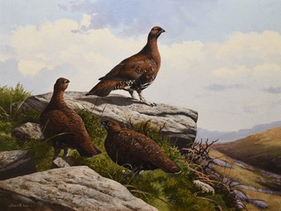 Lot 27 - Adrian Rigby (b.1962) Red Grouse