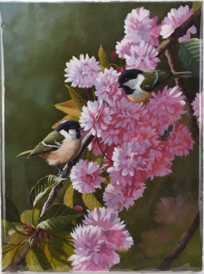 Lot 274 - Adrian Rigby (b.1962) Coal Tits in Cherry Blossom