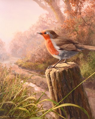 Lot 128 - Adrian Rigby (b.1962) Evening Robin