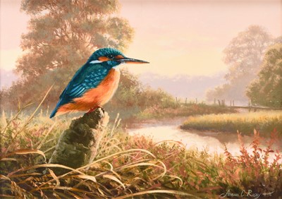 Lot 275 - Adrian Rigby (b.1962) Kingfisher