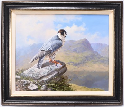Lot 276 - Adrian Rigby (b.1962) Peregrine, Prince of the Fells