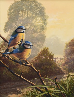 Lot 271 - Adrian Rigby (b.1962) Blue Tits, An English Summer