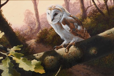 Lot 46 - Adrian Rigby (b.1962) Barn Owl Perched on a Tree Branch