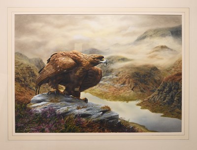 Lot 35 - Adrian Rigby (b.1962) Golden Eagle