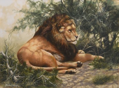 Lot 104 - Adrian Rigby (b.1962) Lion Resting