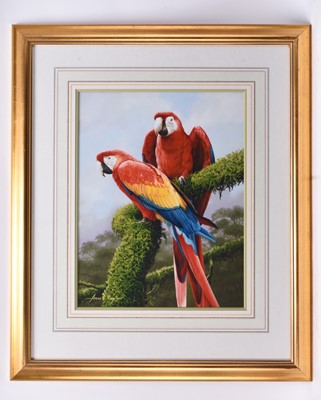 Lot 265 - Adrian Rigby (b.1962) Scarlet Macaws, Partners for Life