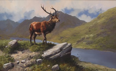 Lot 267 - Adrian Rigby (b.1962) Red Deer, Heir to the Highlands