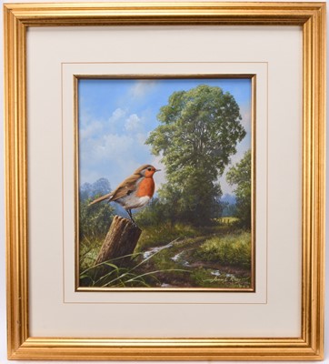 Lot 269 - Adrian Rigby (b.1962) Summer on the Lane, A Robin