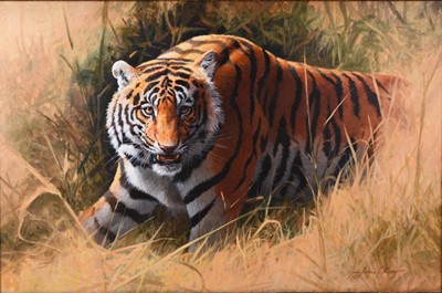 Lot 260 - Adrian Rigby (b.1962) A Tiger Prowling