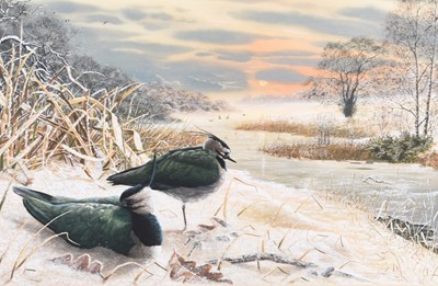 Lot Adrian Rigby (b.1962) Frosty Evening, Lapwings