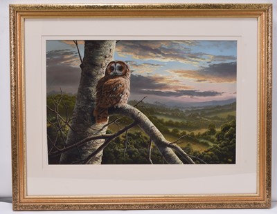 Lot 262 - Adrian Rigby (b.1962) Tawny Owl at Twilight