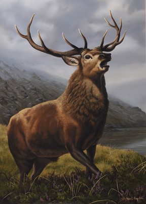 Lot 25 - Adrian Rigby (b.1962) Call of the Glen, Stag