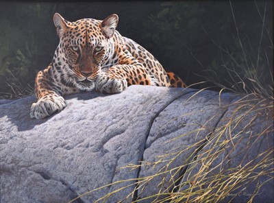 Lot 256 - Adrian Rigby (b.1962) Leopard, Ambush