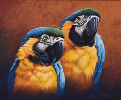 Lot 127 - Adrian Rigby (b.1962) Blue and Gold Macaws