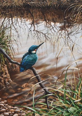 Lot 258 - Adrian Rigby (b.1962) Kingfisher at Rest